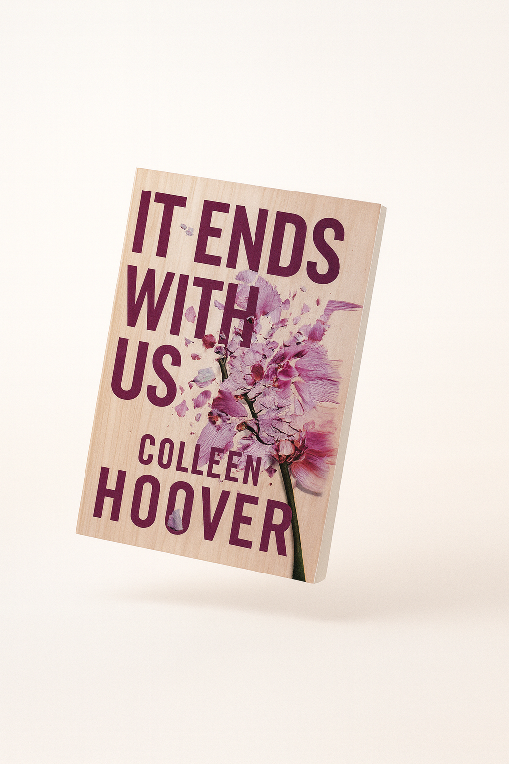 It Ends WIth Us Colleen Hoover